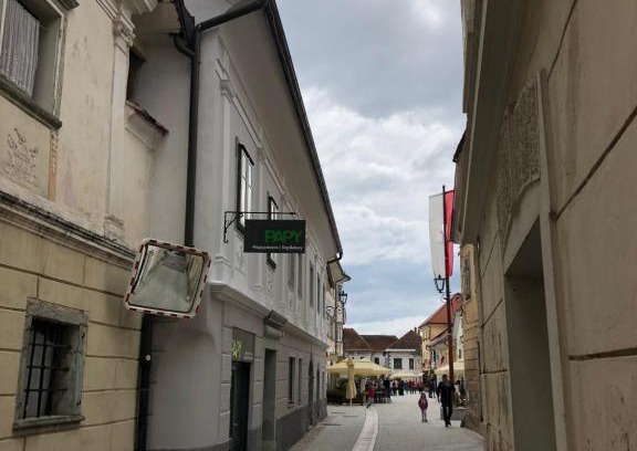 Radovljica Apartment | Apartma Linhartov trg