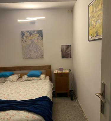 Mali Radic Apartment | Apartman A ART