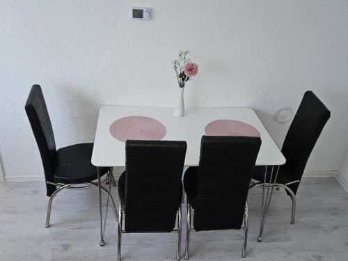 Mali Radic Apartment | Apartman Aladin