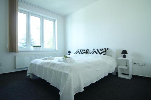 Podebrady Apartment | Apartman Amanda