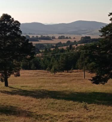 Zlatibor Apartment | Apartman ISPOD DUGE LANA