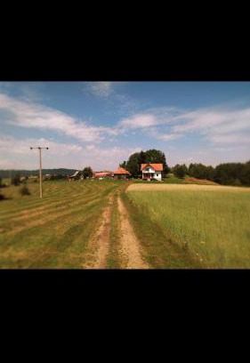 Zlatibor Apartment | Apartman JELA Jabuka