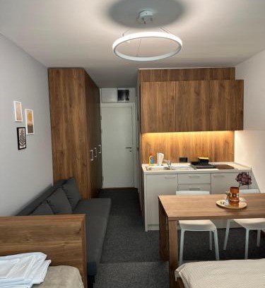 Kopaonik Apartment | Apartman Kod Gondole Vila Bela Reka