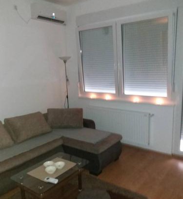 Banja Koviljaca Apartment | Apartman Ksenija