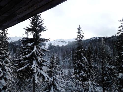 Jahorina Apartment | Apartman Luka