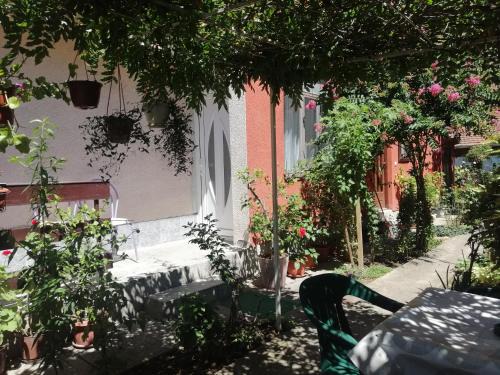 Jagodina Apartment | Apartman Nana Jagodina