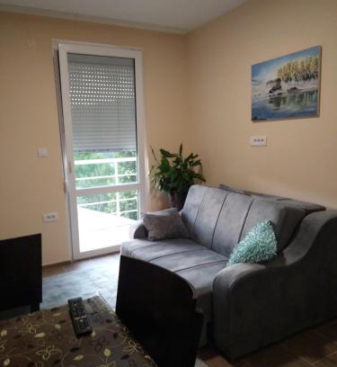 Bajina Basta Apartment | Apartman Petko