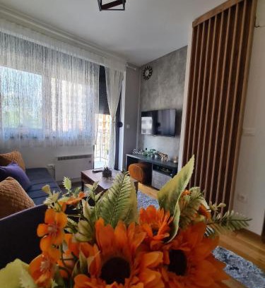 Zlatibor Apartment | Apartman Rajska dolina Titova vila