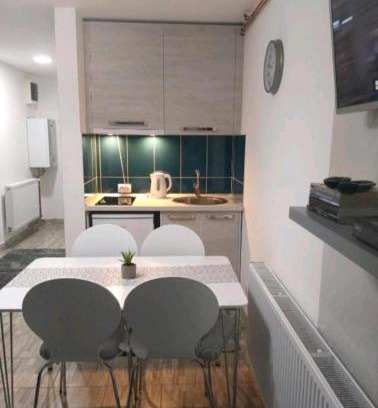 Banja Koviljaca Apartment | Apartman Ristić