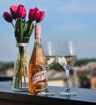 Sremska Mitrovica Apartment | Apartman Sky