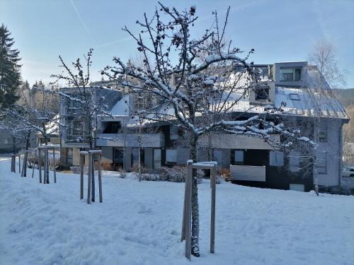 Harrachov Apartment | Apartman Sofie Harrachov