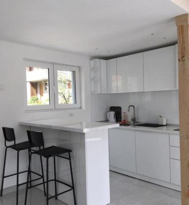 Bor Apartment | Apartman TERASA