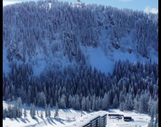 Jahorina Apartment | Apartman Winter night Snježna dolina
