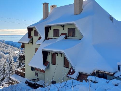 Kopaonik Apartment | Apartman "ZIMSKA ZVEZDA" Kopaonik