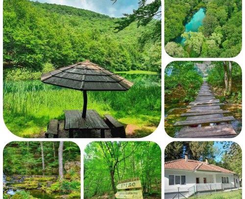Central Serbia Apartment | Apartmani Grza