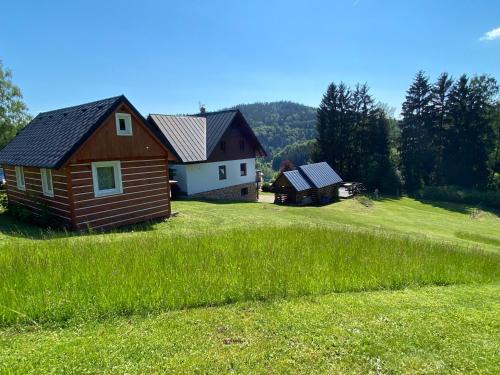 Rokytnice nad Jizerou Apartment | Apartmany Silver