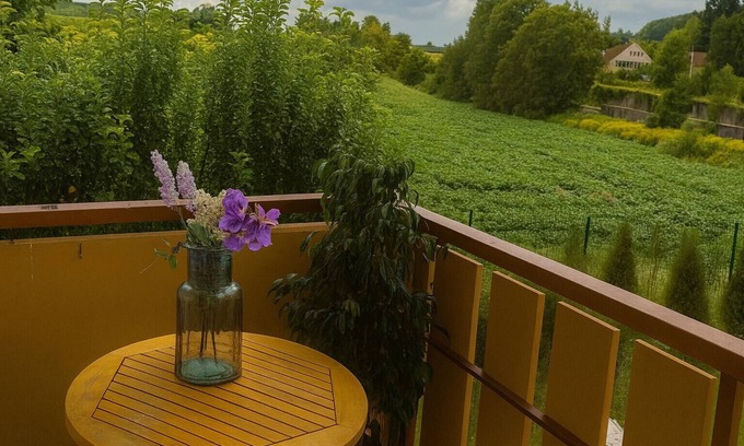 Bad Krozingen Apartment | Apartment 'Blue' with private terrace, communal garden and Wi-Fi