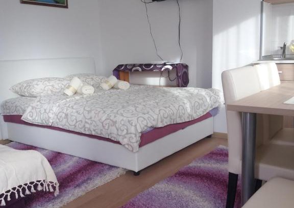 Zlatibor Apartment | Apartment Bućić