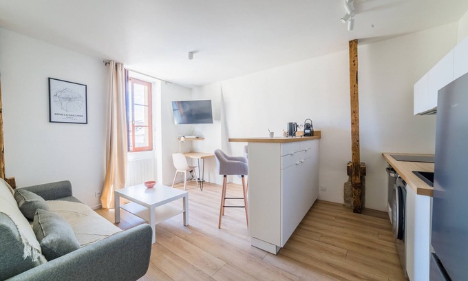 Brive-la-Gaillarde Apartment | Apartment Delicate Downtown Quiet