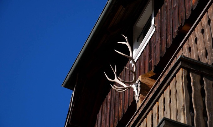Hinterzarten Apartment | Apartment 'Hermelin' with Mountain View and Wi-Fi