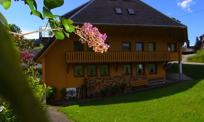 Herrenschwand Apartment | Apartment 'Hinz' with Mountain View, Balcony and Wi-Fi