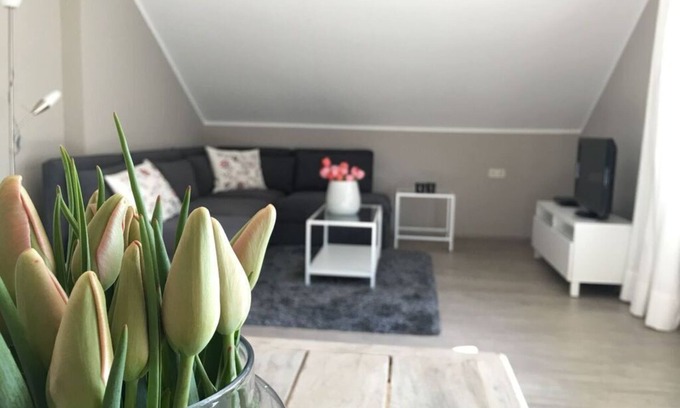Jechtingen Apartment | Apartment in Sasbach - Jechtingen