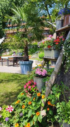 Erfurt Apartment | Apartment im Grünen mit Anbindung ans Zentrum