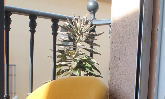 La Goleta Apartment | Apartment in Historic Center 2 bedrooms
