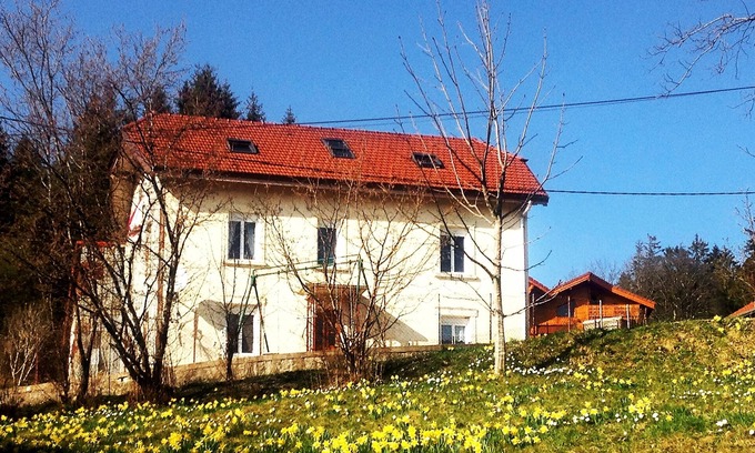 Xonrupt-Longemer Apartment | Apartment in independent house, quiet, Gérardmer