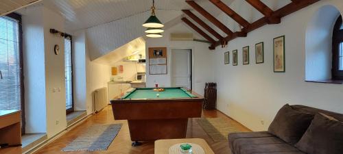 Bistrica Apartment | Apartment Ivan