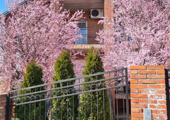 Surcin Apartment | Apartment Ken
