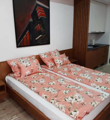 Sombor Apartment | Apartment Mašić