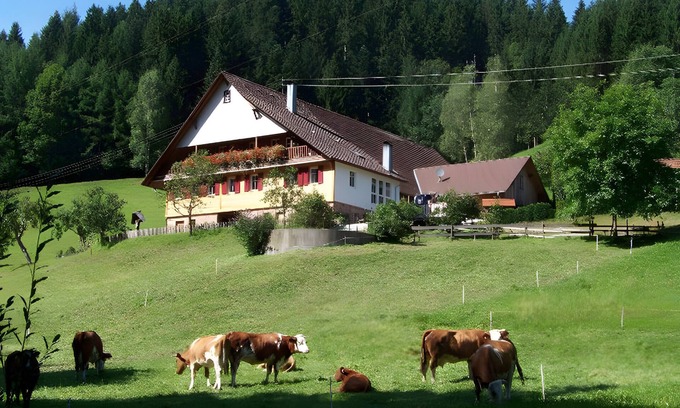 Oberwolfach Apartment | Apartment 'Nichtraucher' with Shared Garden, Balcony and Wi-Fi