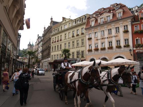Karlovy Vary Apartment | Apartment No. 2 Tržiště 29