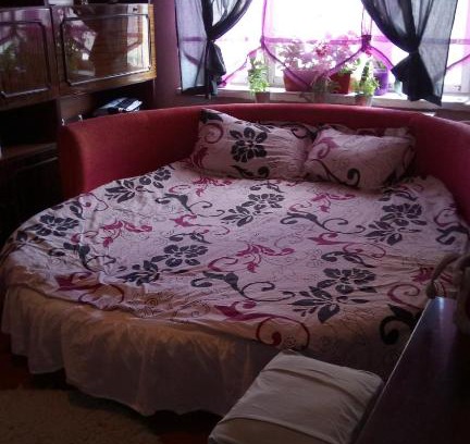 Dniprovs'kyi District Apartment | Apartment on Raisy Okipnoi 5