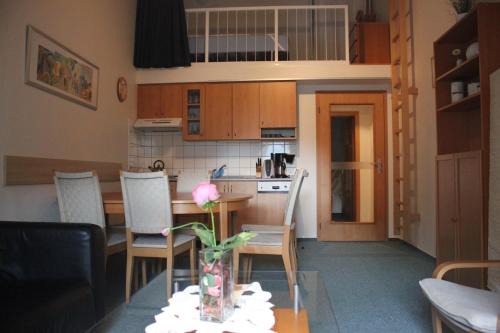 Pec pod Snezkou Apartment | Apartment Poustevník