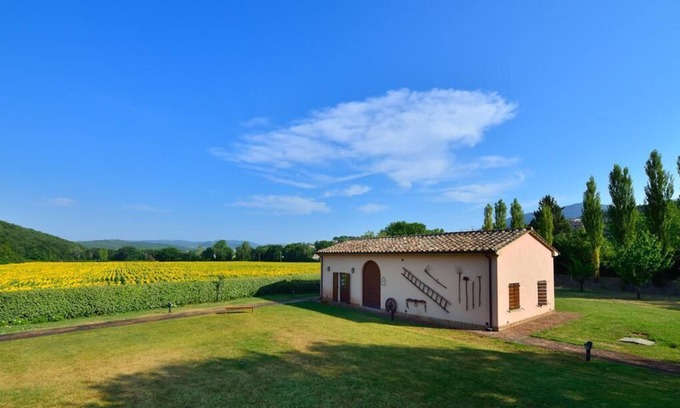Corciano Other | Apartment SUNFLOWER (Agriturismo Il Corniolo)