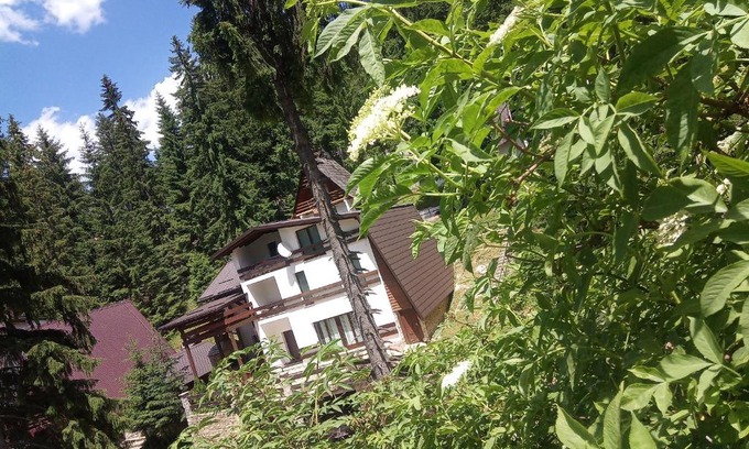 Babanovac Apartment | Apartments Žera