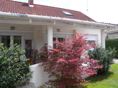 Balatonfenyves House | Apartments in Balatonfenyves - Balaton 18466