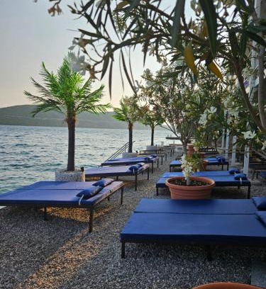 Neum House | Apartments Villa Dom