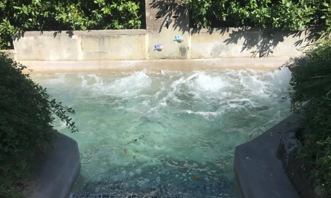 Careggi Rifredi Bed & Breakfast | Ape Rosa Relais