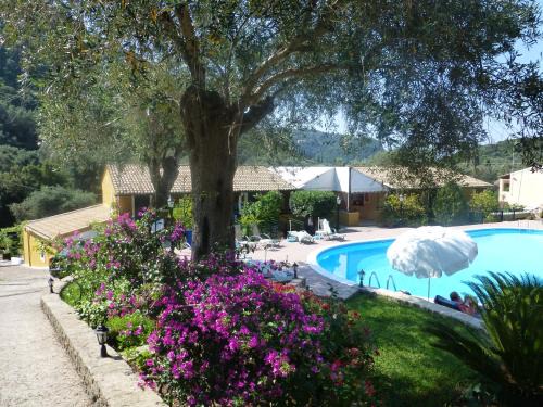 Paleokastritsa Apartment | Aphrodite Studios & Pool