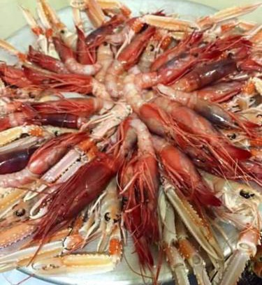 Savelletri Apartment | Appartamenti Del Pescatore