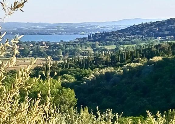 Tuoro sul Trasimeno Apartment | Appartamento Coccinella