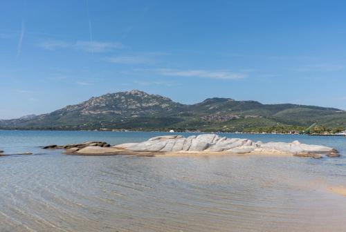 Porto Rotondo Apartment | Appartamento E17
