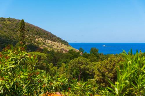 Rio nell'Elba Apartment | Appartamento Guardando Il Mare