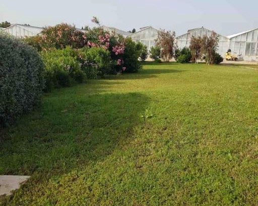 Villaspeciosa Apartment | Appartamento indipend. vicino Aeroporto Ca/ Elmas