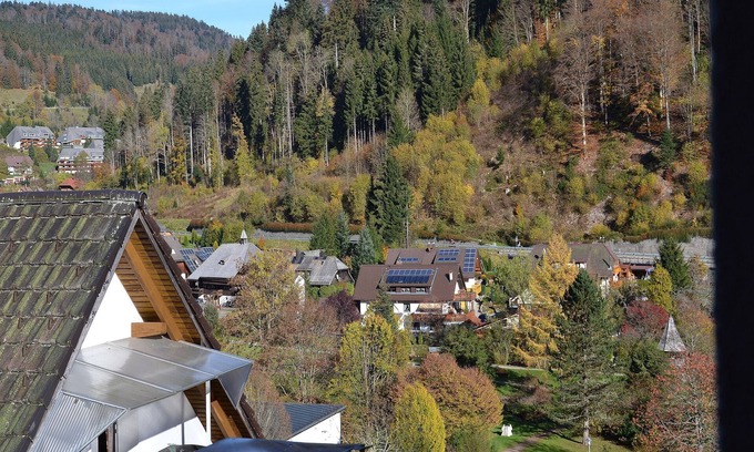 Todtmoos Apartment | Appartement, 19qm, 1 Wohn-/Schlafraum, max. 1 Person