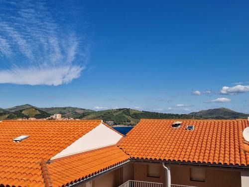 Banyuls-sur-Mer Apartment | Appartement F2 Banyuls-sur-Mer, terrasse, wifi, parking, 4 pers. - FR-1-309-174