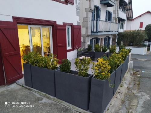 Cambo-les-Bains Apartment | appartement rez de chaussée 2 chambres avec terrasse